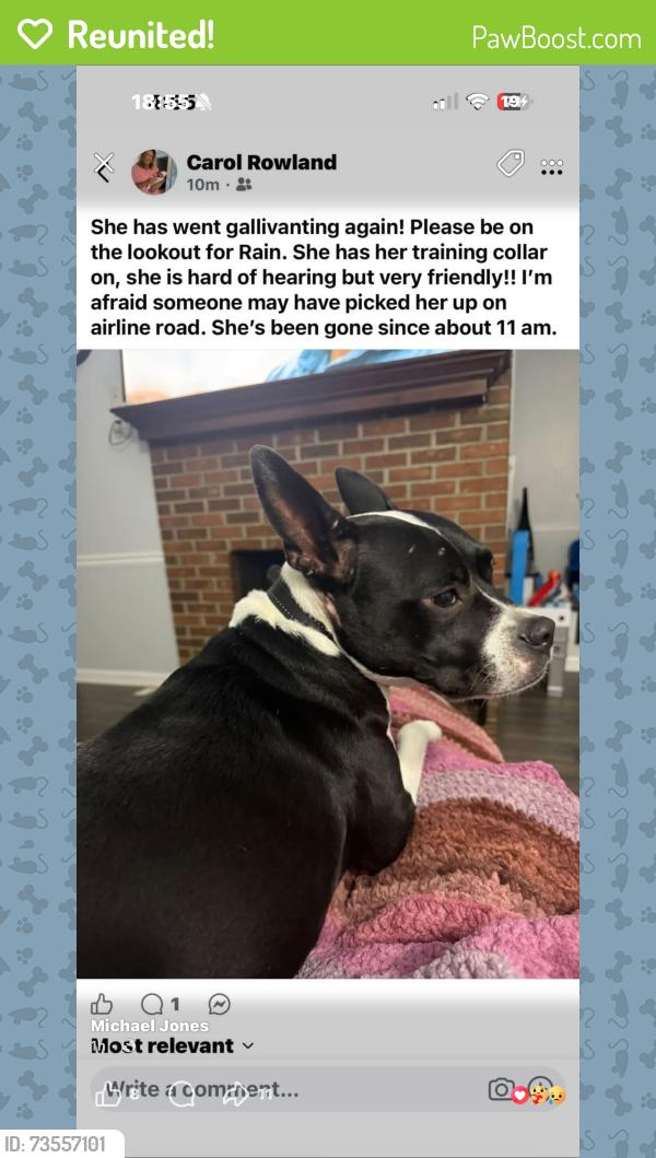 Reunited Female Dog last seen Near airline road, Airline Rd,  29624