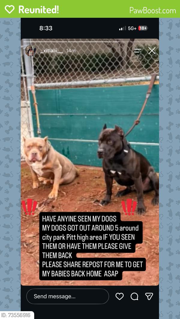 Reunited Male Dog last seen Near victory avenue, Pittsburg, CA 94565