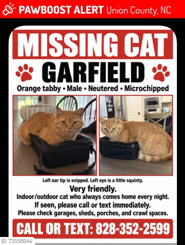 Lost Male Cat last seen Silverling drive Waxhaw nc, Union County, NC 28173