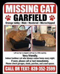 Lost Male Cat last seen Silverling drive Waxhaw nc, Union County, NC 28173