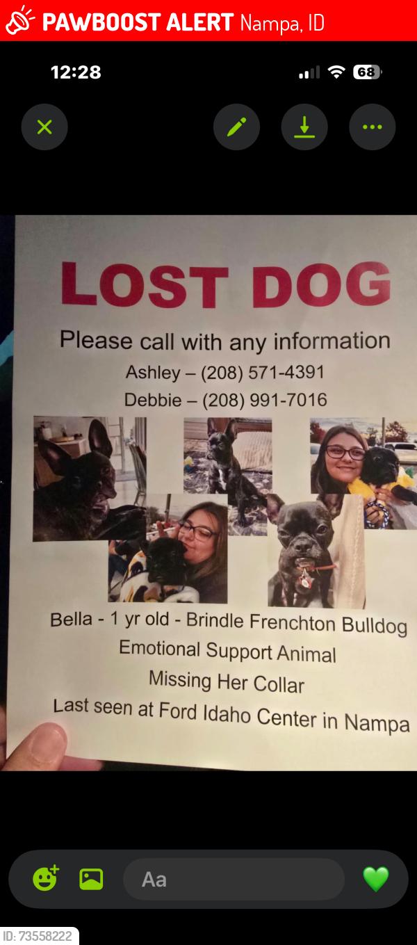 Lost Female Dog last seen Ford Idaho center, Nampa, ID 83687