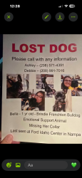 Lost Female Dog last seen Ford Idaho center, Nampa, ID 83687