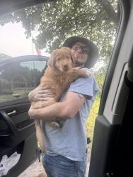 Lost Male Dog last seen Ne 63 and hilltop dr, Oklahoma City, OK 73121