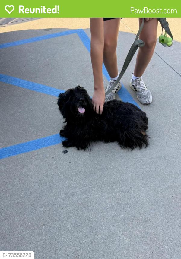 Reunited Unknown Dog last seen Near Nelson Adkins Museum, Kansas City, MO 64110