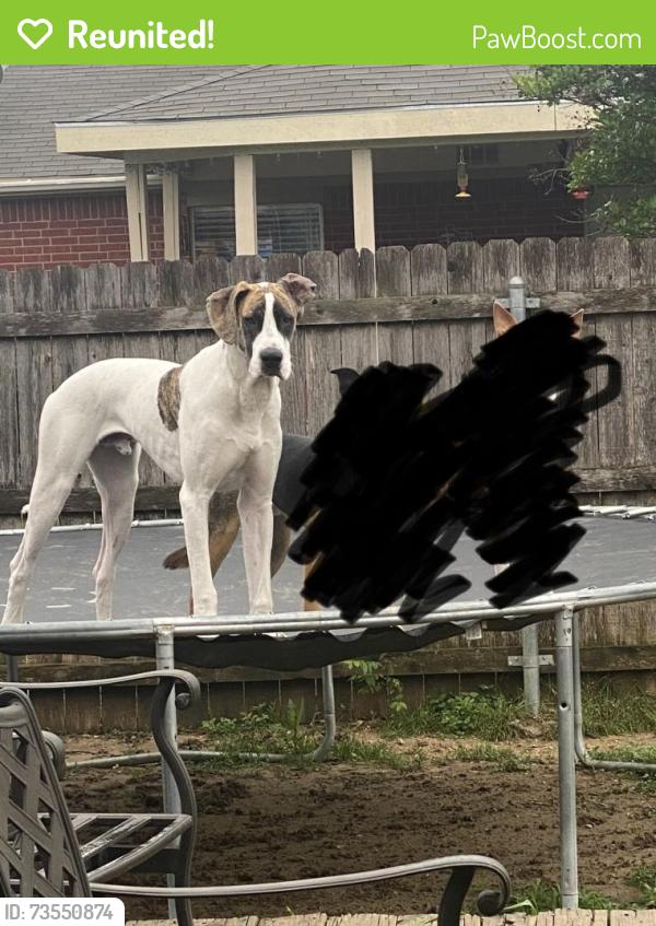 Reunited Male Dog last seen Springtown, Springtown, TX 76082