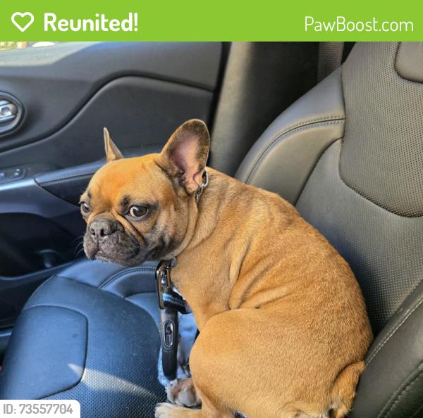 Reunited Female Dog last seen Landerwood and Sunbury, Greensboro, NC 27405