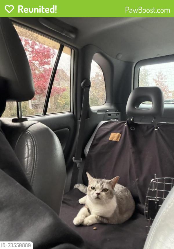 Reunited Unknown Cat last seen 65th ave & 194 st, Surrey, BC V4N 5X4