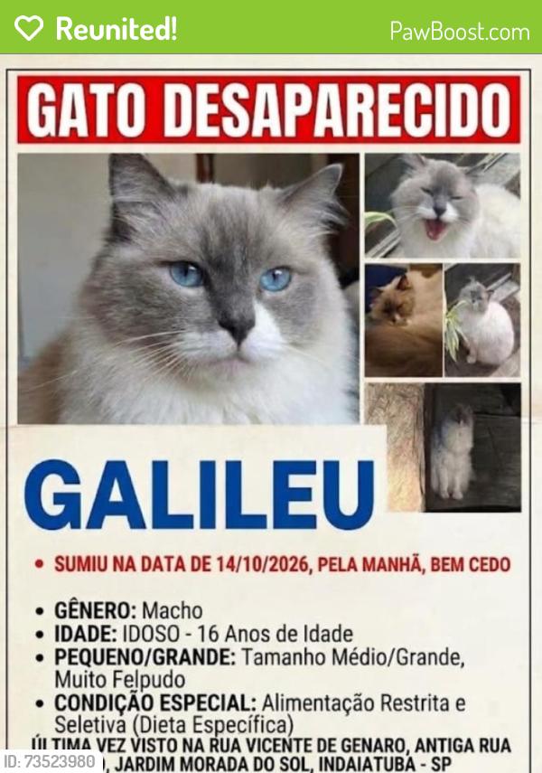Reunited Male Cat last seen Piano, parque ecológico, Jardim Morada do Sol, SP 13346-500