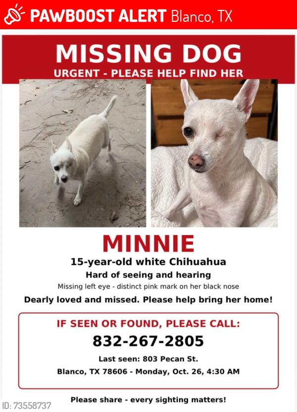 Lost Female Dog last seen Got out of backyard, Blanco, TX 78606