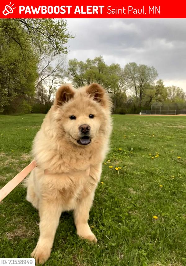 Lost Female Dog last seen Near Arlington Ave E, Saint Paul, MN 55130