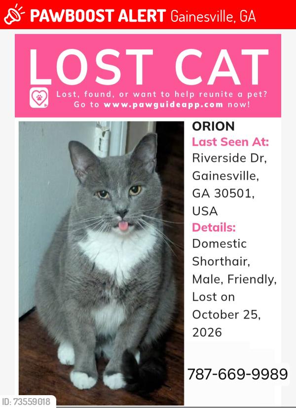 Lost Male Cat last seen Riverside drive, Gainesville, GA 30501