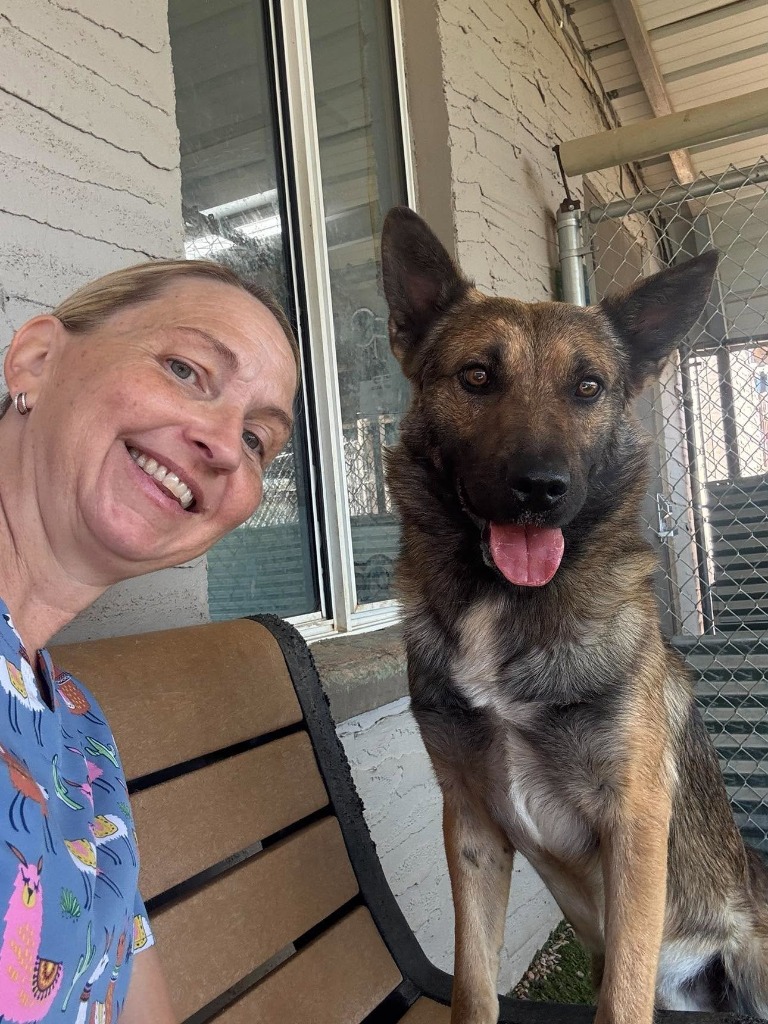 Shelter Stray Male Dog last seen , 1904 Voss Dr, Chino Valley, AZ 86323, USA