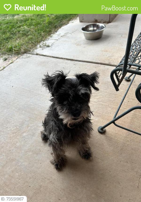 Reunited Unknown Dog last seen 98th. Street and upland, Lubbock, TX 79424