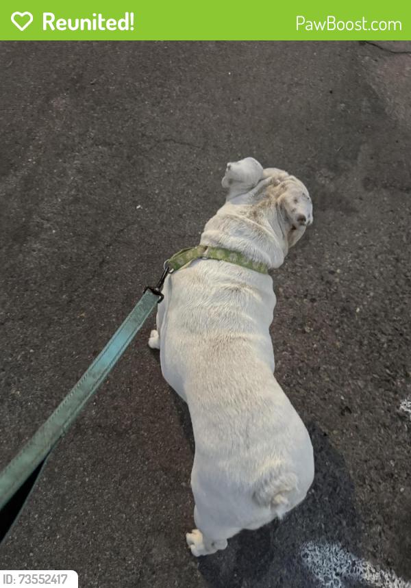 Reunited Female Dog last seen Champlain and Perrin, Fresno, CA 93720