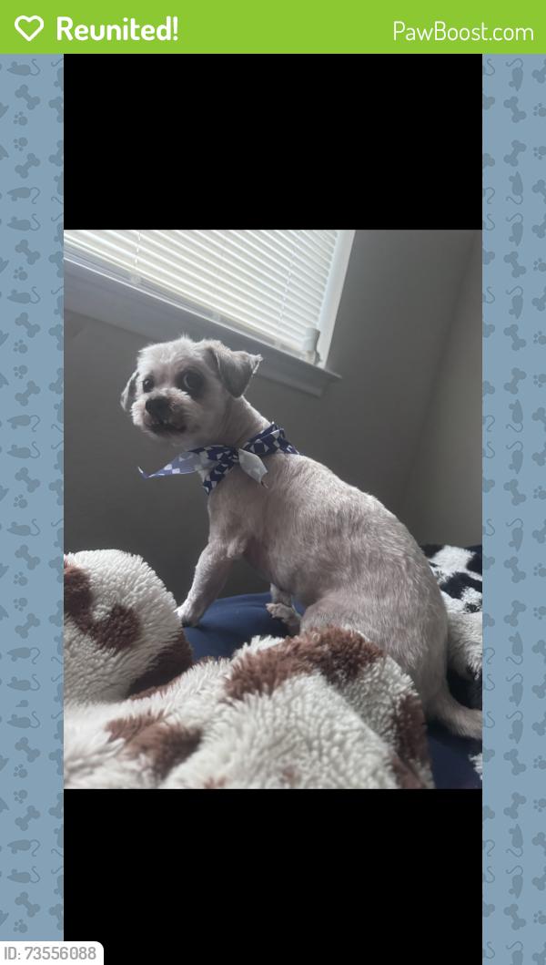 Reunited Male Dog last seen J.a Hargrave area 76123, Fort Worth, TX 76123