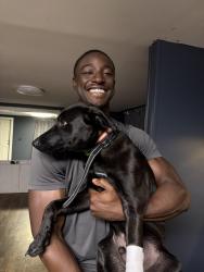 Reunited Male Dog last seen Kingston hwy near moran lake and dollar general, Kingston, GA 30145