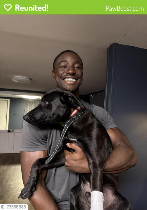 Reunited Male Dog last seen Kingston hwy near moran lake and dollar general, Kingston, GA 30145
