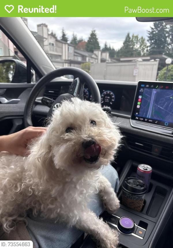 Reunited Unknown Dog last seen Near NE 132nd St Kirkland, WA 98034 United States, Kirkland, WA 98034