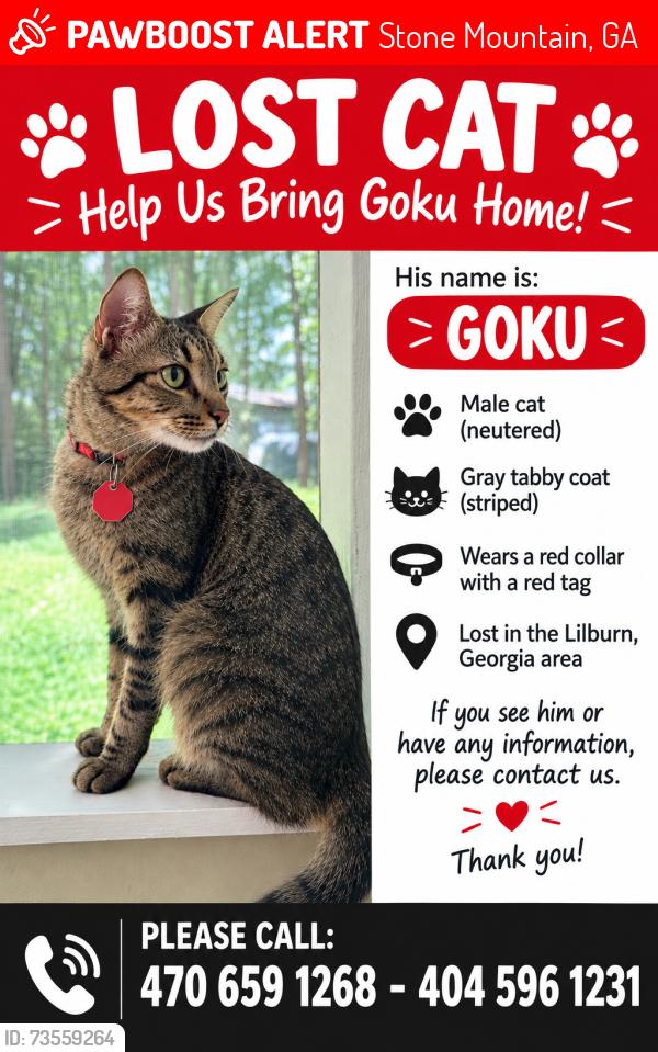Lost Male Cat last seen Nalley dr, Stone Mountain, Stone Mountain, GA 30087