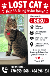 Lost Male Cat last seen Nalley dr, Stone Mountain, Stone Mountain, GA 30087