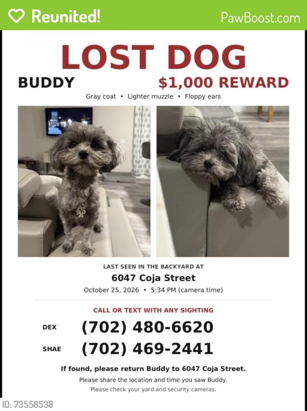 Reunited Male Dog last seen Near Coja St, Las Vegas, NV 89113, USA, Las Vegas, NV 89113
