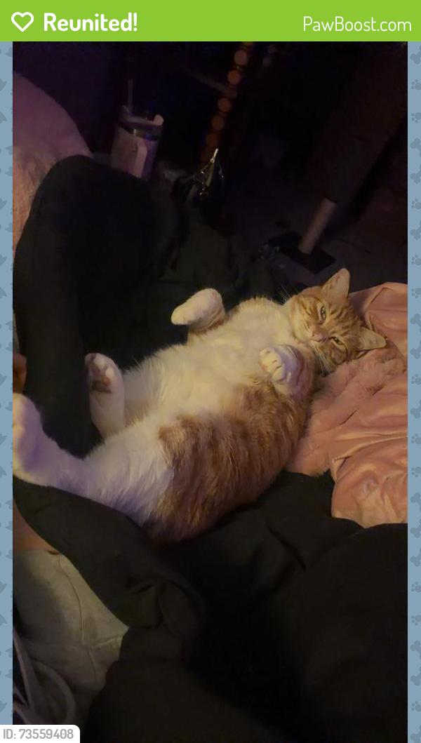 Reunited Male Cat last seen Cliff rd, Eagan, MN 55122