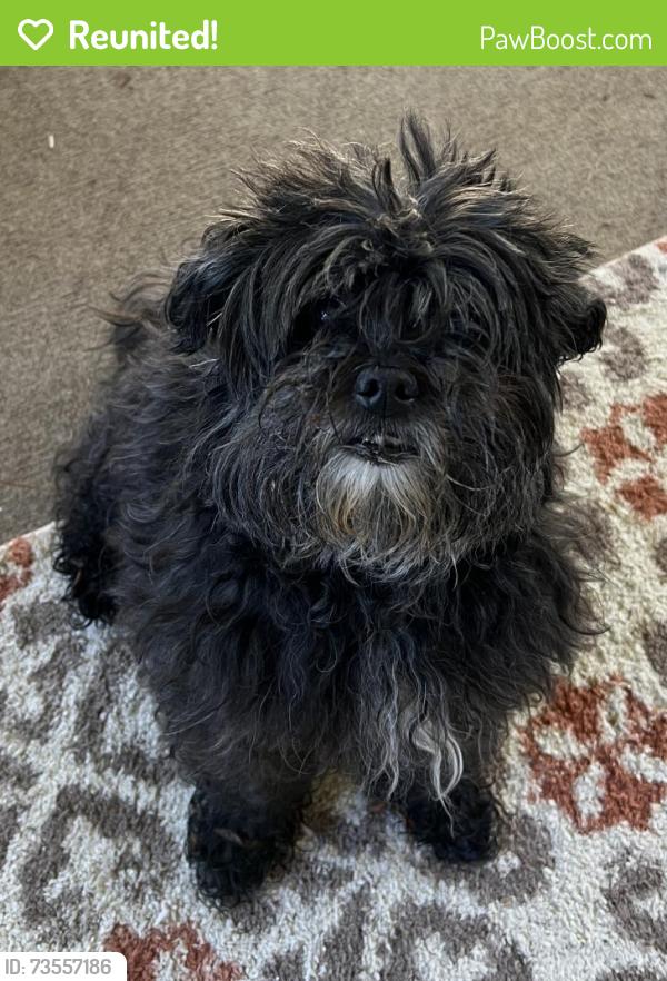 Reunited Female Dog last seen Wentworth Ln, Hanover Dr,  30180
