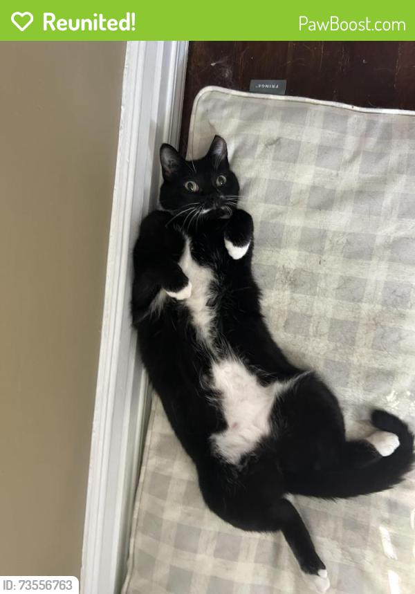 Reunited Female Cat last seen Jessie Ave in between Arbuthnot and Lilac, Winnipeg, MB R3M 0Z6