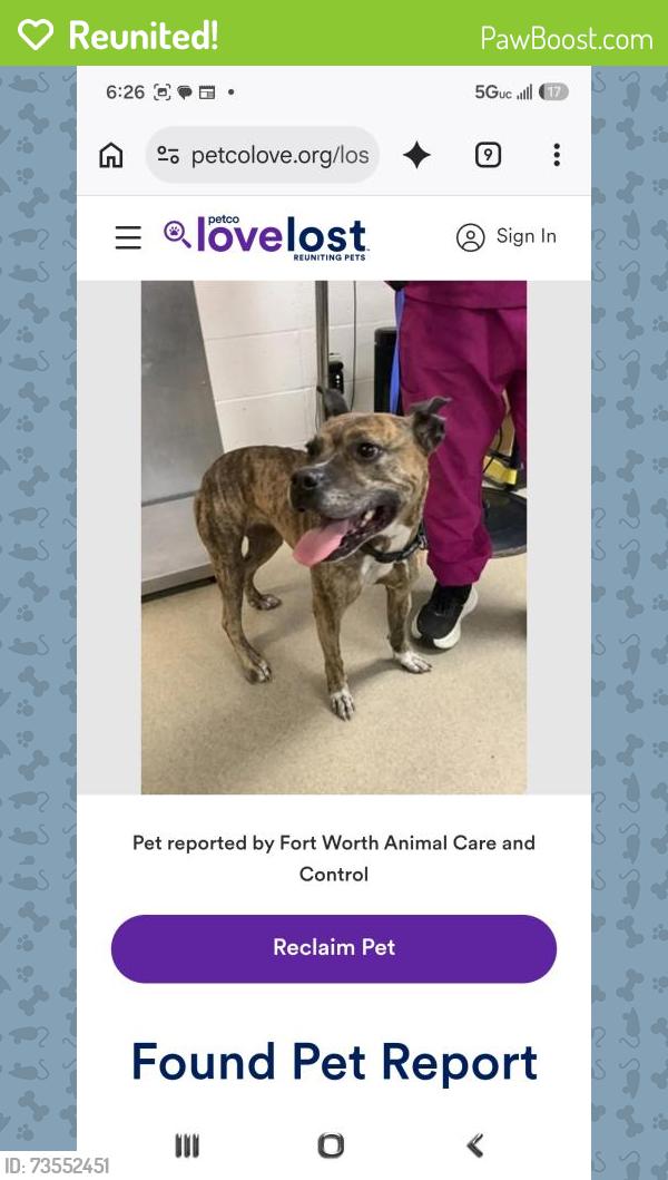 Reunited Female Dog last seen Mississippi Ave, Fort Worth, TX 76104