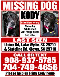 Lost Male Dog last seen Stateline rd, Stateline Rd,  29710