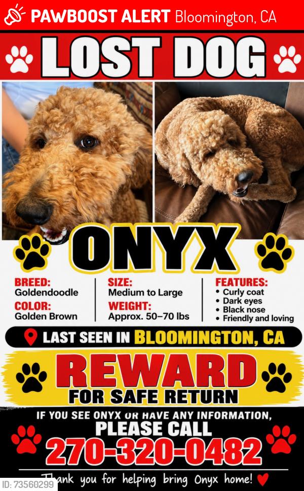 Lost Male Dog last seen Spruce Ave and willow, Bloomington, CA 92316