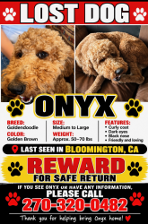 Lost Male Dog last seen Spruce Ave and willow, Bloomington, CA 92316