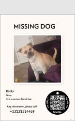 Lost Male Dog last seen Atlantic and Imperial, Lynwood, CA 90262