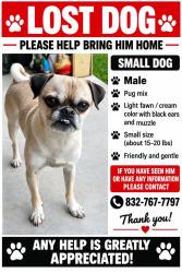 Lost Male Dog last seen Greensbrooks place, Elk forest trail. 77044, Houston, TX 77044