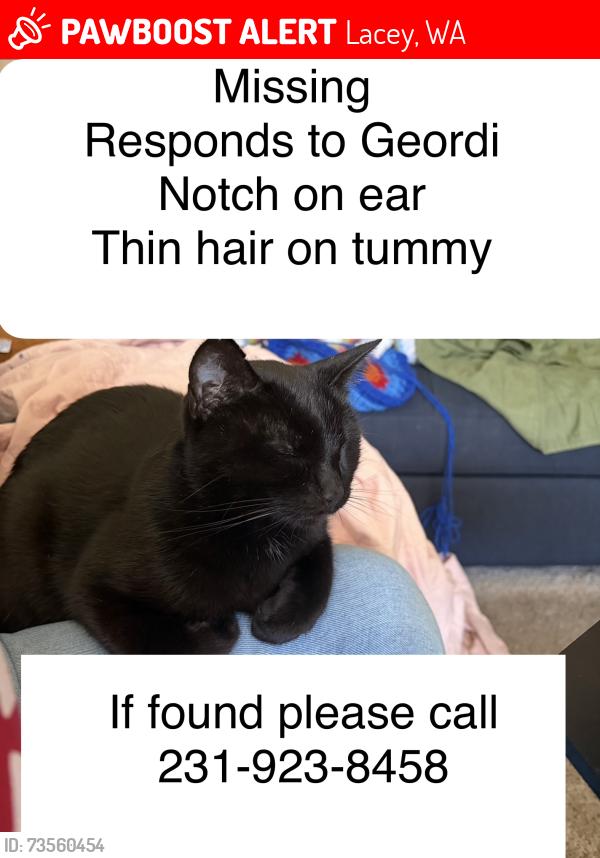 Lost Female Cat last seen Birdseye Ave be Washington near Toscana apt, Lacey, WA 98516