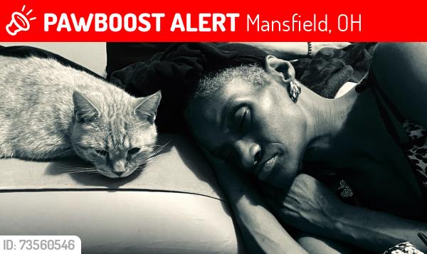 Lost Male Cat last seen Joe and Mary store, Mansfield, OH 44902