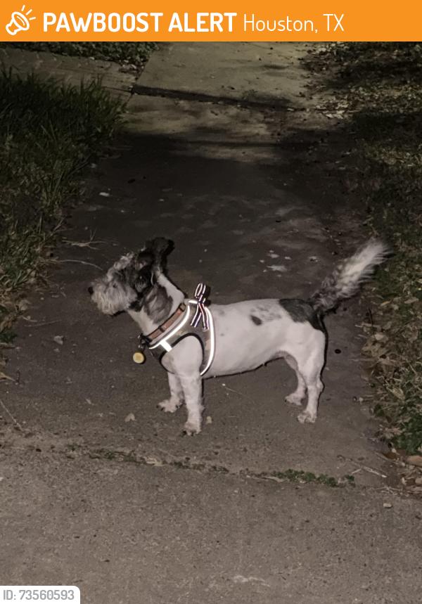Found/Stray Unknown Dog last seen Corner of Bent Bough Lane and Long Creek Ln, Houston, TX 77088