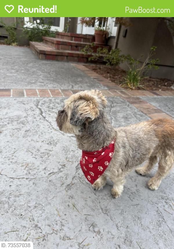 Reunited Unknown Dog last seen Morse, San Jose, CA 95126