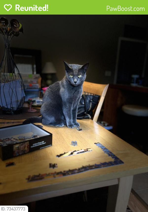 Reunited Female Cat last seen 5th and LaDele, Dell Rapids, SD 57022