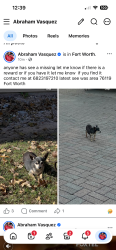 Lost Male Dog last seen Near Collin St Fort Worth, TX 76119 United States, Fort Worth, TX 76119