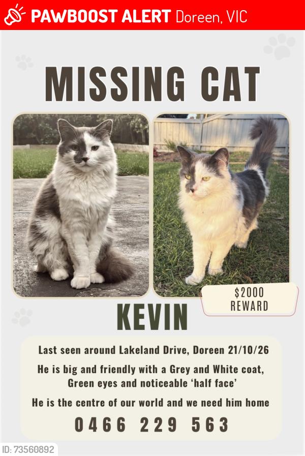 Lost Male Cat last seen Kyarra Drive, Doreen, VIC 3754