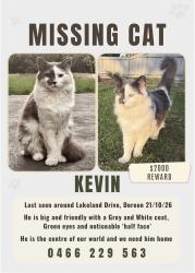 Lost Male Cat last seen Kyarra Drive, Doreen, VIC 3754