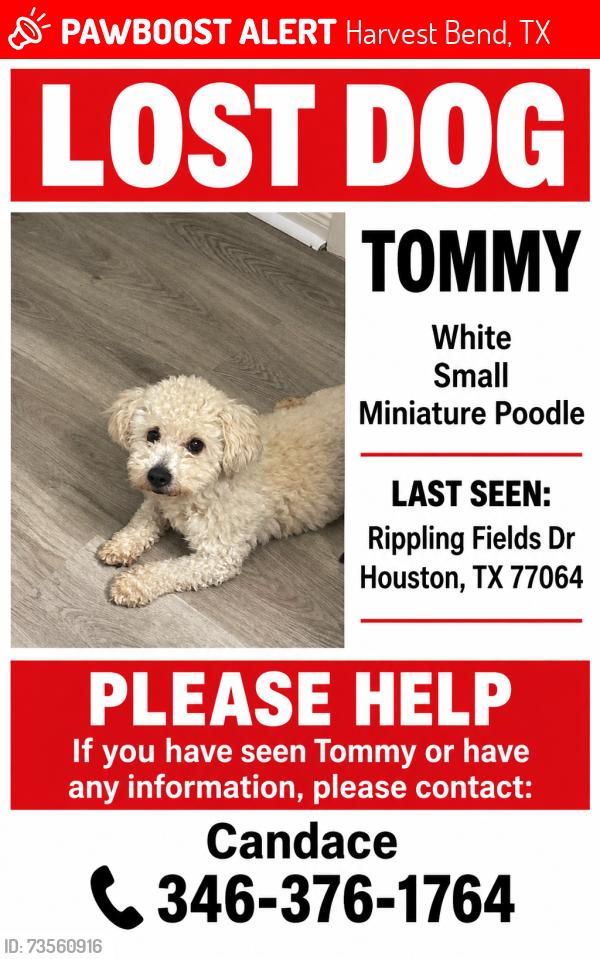 Lost Male Dog last seen Harvest bend, Harvest Bend, TX 77064