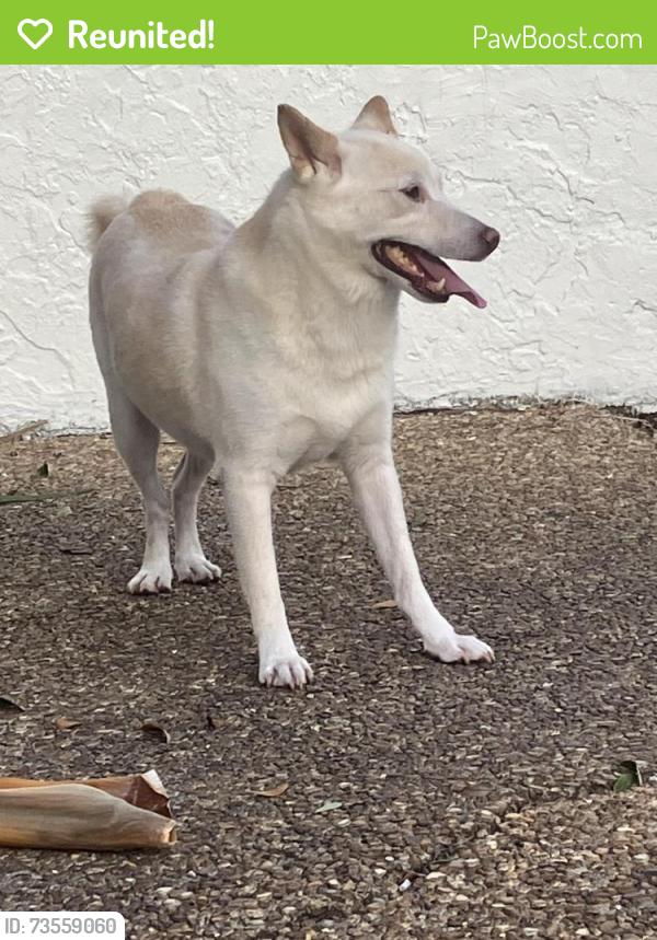 Reunited Male Dog last seen Arthur and 28, Hollywood, FL 33020