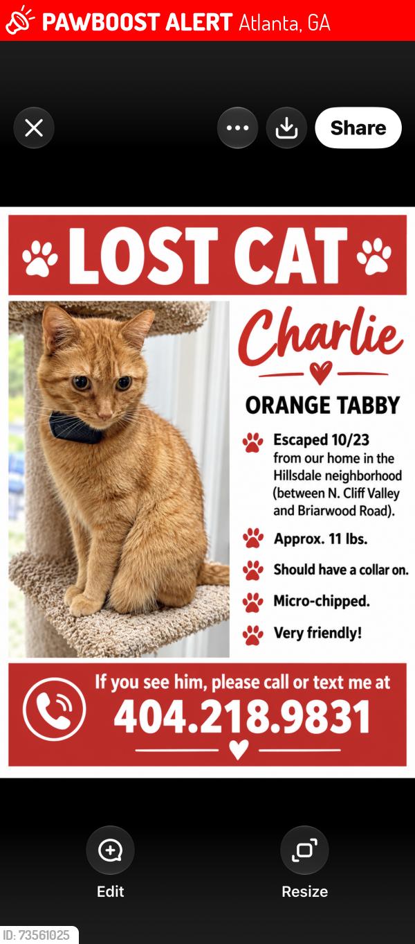 Lost Male Cat last seen N. Druid Hills Road, Atlanta, GA 30319