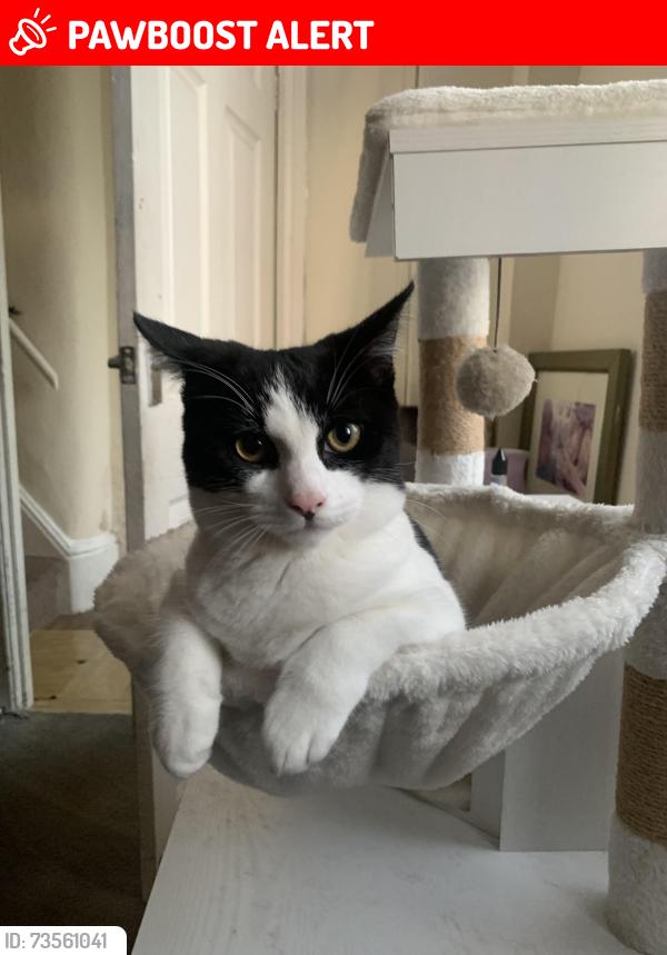 Lost Female Cat last seen Leigh, Greater Manchester, England WN7 1RG