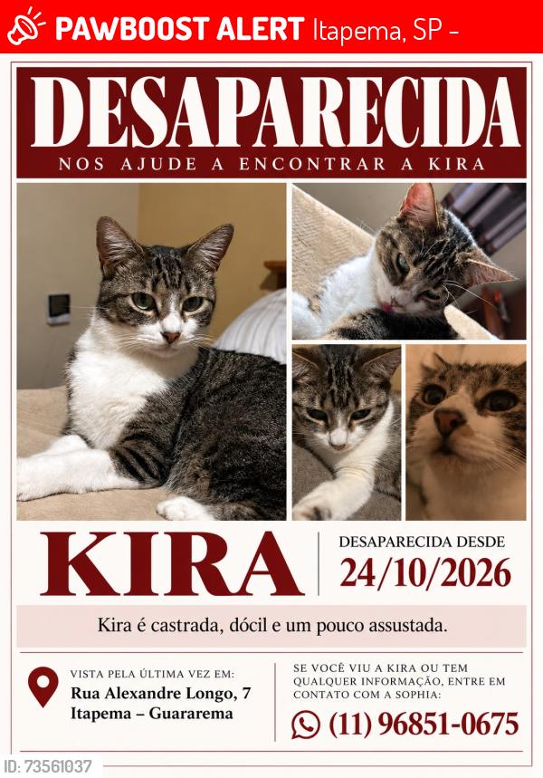 Lost Female Cat last seen Perto de: Quadra Poliesportiva José Rosa de Siqueira, Escola Municipal Professora Célia Leonor Lopes Lunardini, e Igreja Nossa Senhora Das Graças, Itapema, SP 08900-000