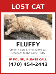 Lost Male Cat last seen Oakpointe ct, Buford, GA 30519