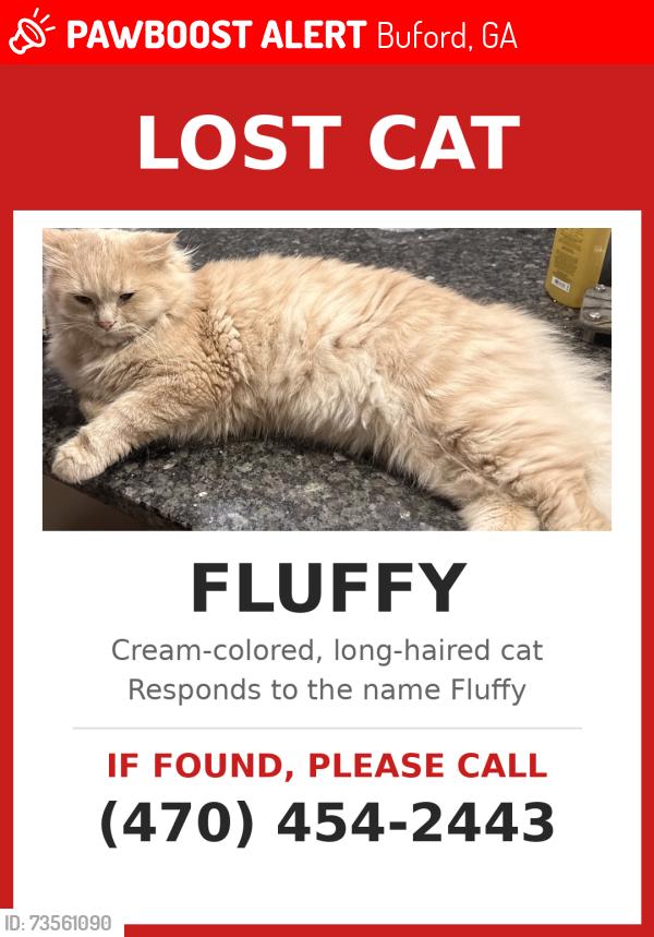 Lost Male Cat last seen Oakpointe ct, Buford, GA 30519