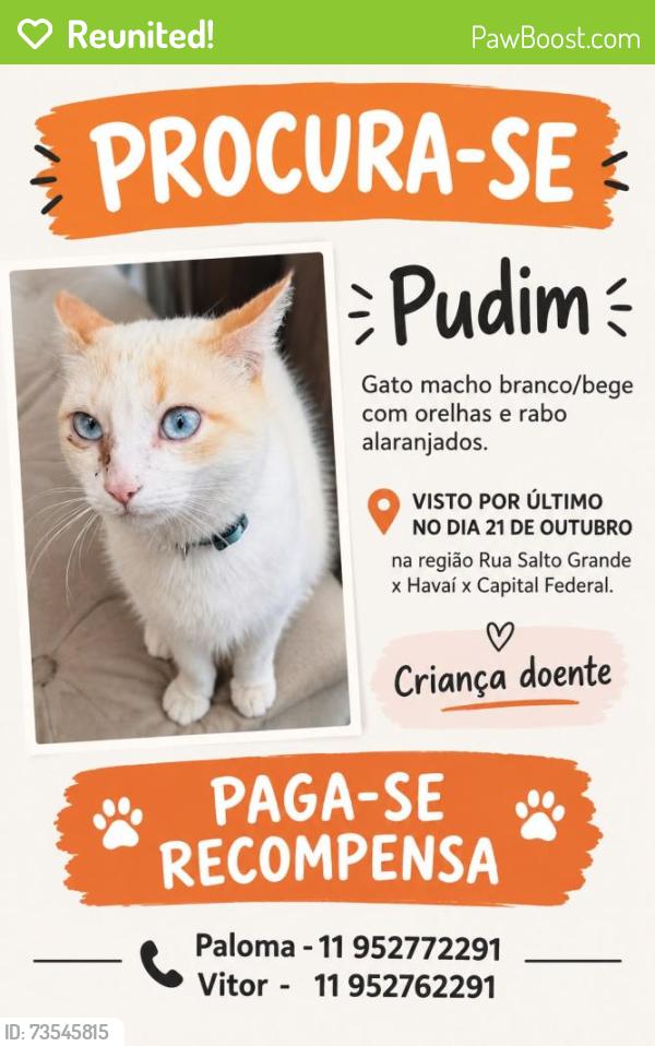 Reunited Male Cat last seen Rua Salto Grande Sumaré, Sumaré, SP 01257-020